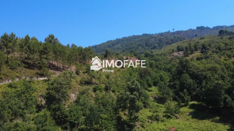 Terreno para Venda em Vale de Bouro