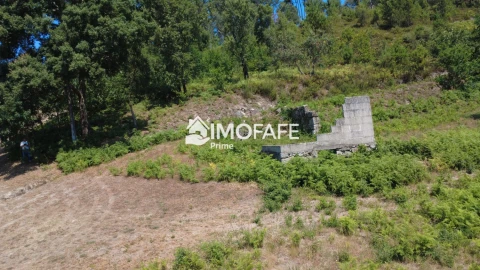 Terreno para Venda em Vale de Bouro
