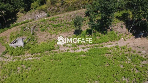 Terreno para Venda em Vale de Bouro