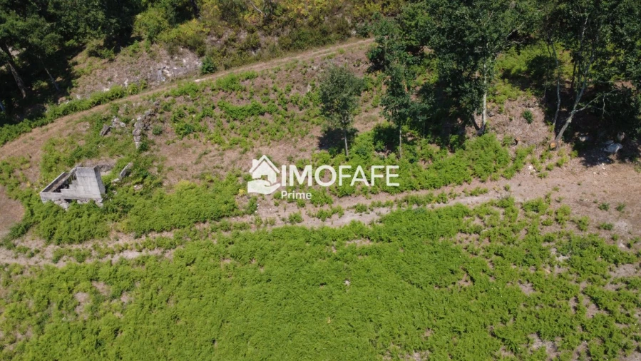 Terreno para Venda em Vale de Bouro Foto 11