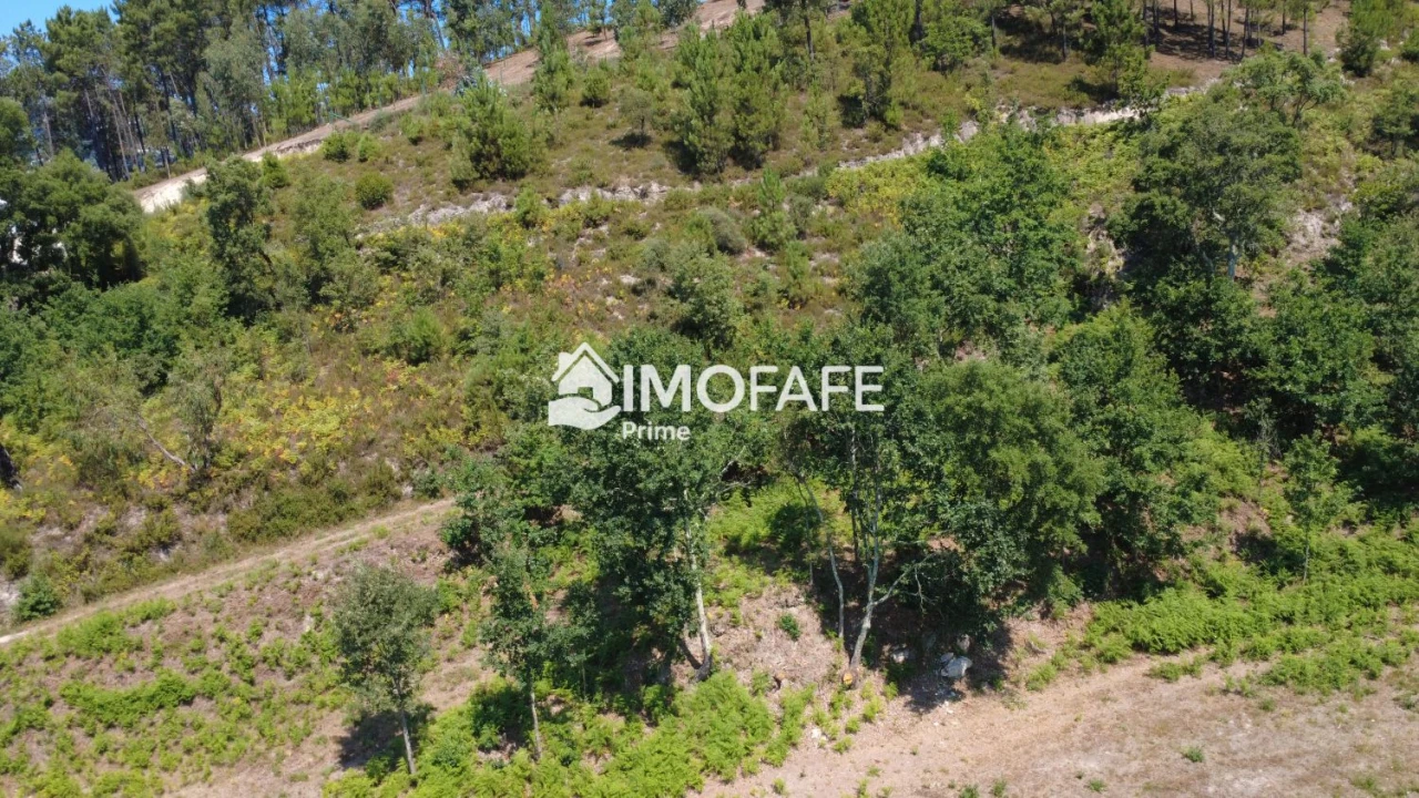 Terreno para Venda em Vale de Bouro Foto 27