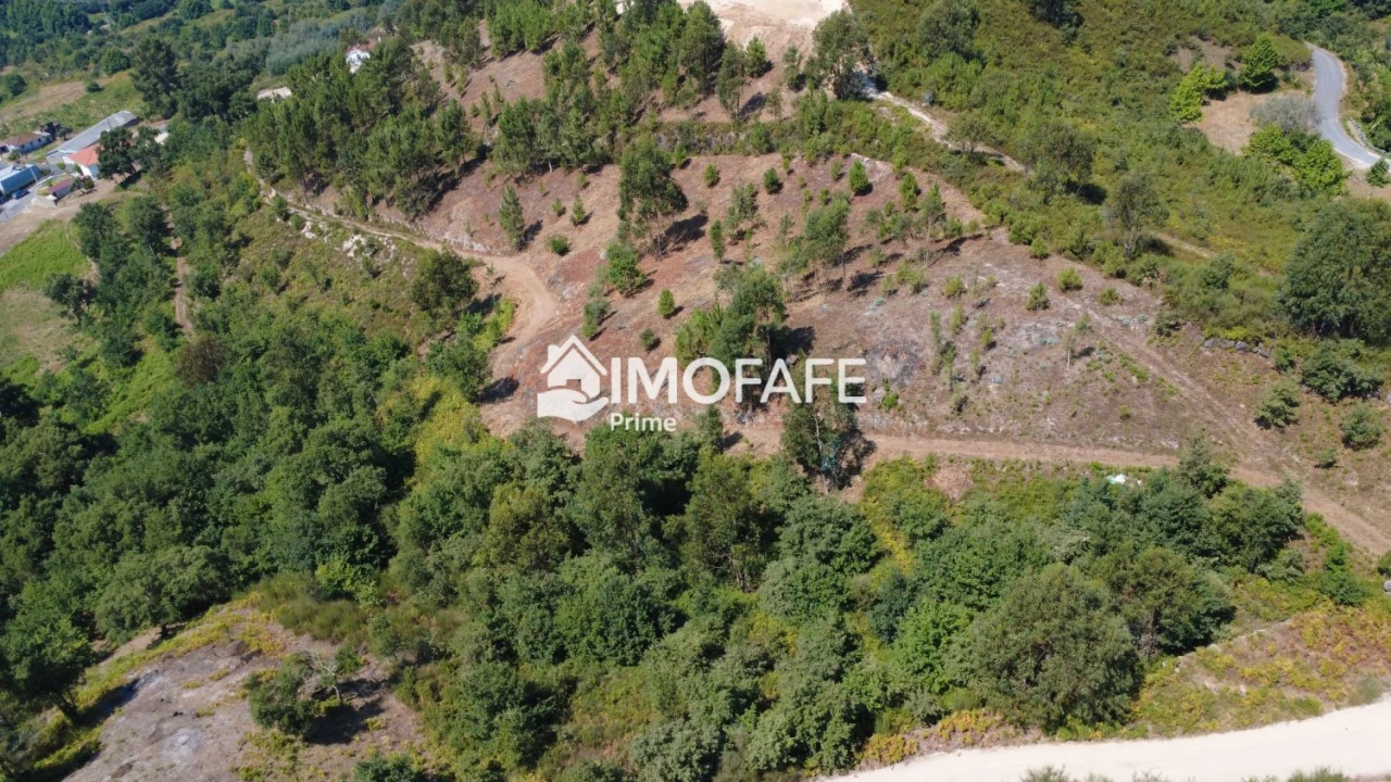 Terreno para Venda em Vale de Bouro Foto 29