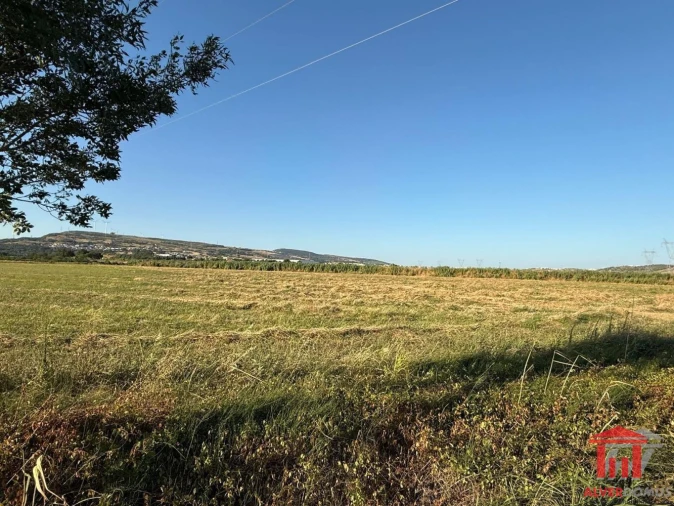 Terreno para Venda em Santo Antão e São Julião do Tojal Foto 3