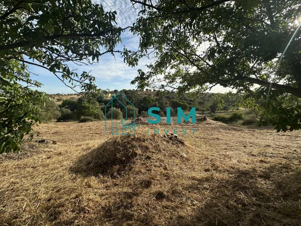 Quinta para Venda em Azoia de Cima e Tremês Foto 54
