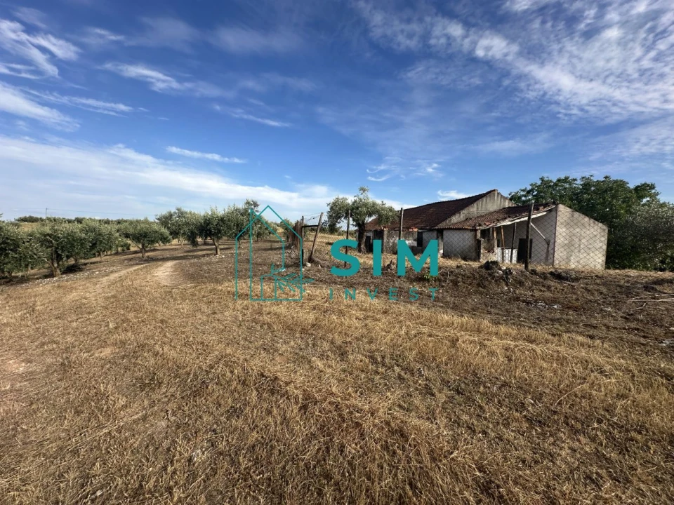 Quinta para Venda em Azoia de Cima e Tremês Foto 15