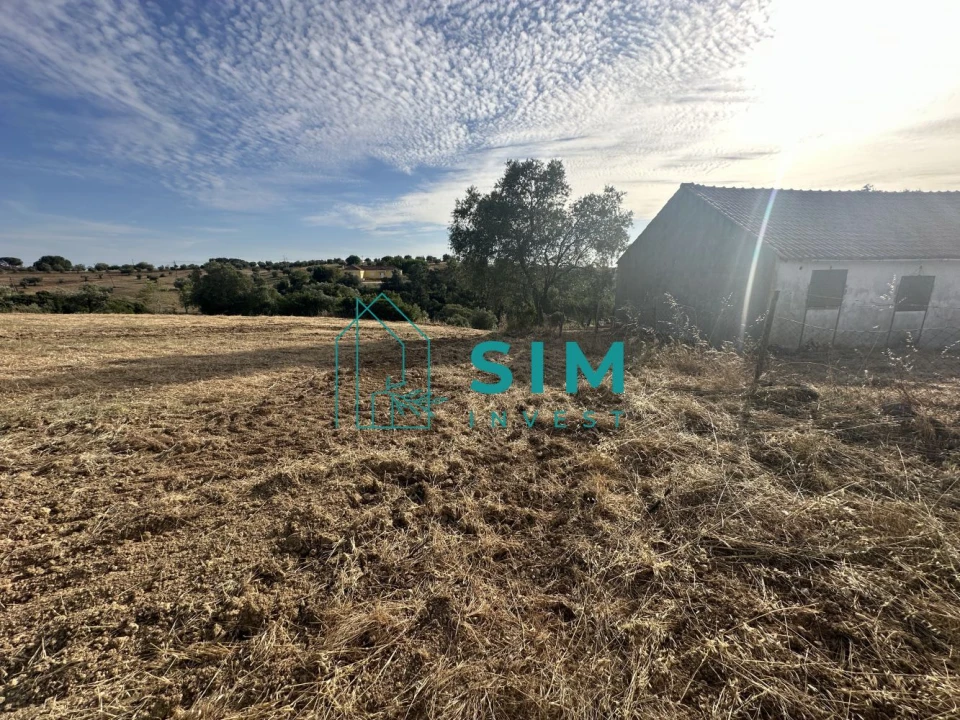 Quinta para Venda em Azoia de Cima e Tremês Foto 21