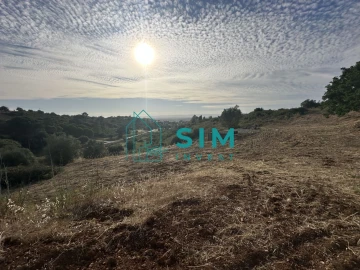 Quinta para Venda em Azoia de Cima e Tremês