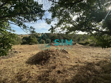 Quinta para Venda em Azoia de Cima e Tremês