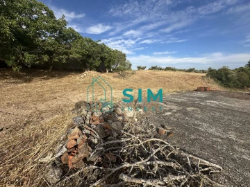 Quinta para Venda em Azoia de Cima e Tremês