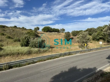 Quinta para Venda em Azoia de Cima e Tremês