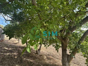 Quinta para Venda em Azoia de Cima e Tremês