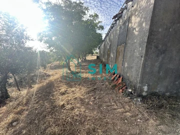 Quinta para Venda em Azoia de Cima e Tremês