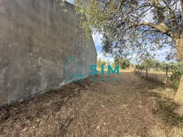 Quinta para Venda em Azoia de Cima e Tremês