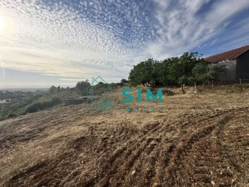 Quinta para Venda em Azoia de Cima e Tremês