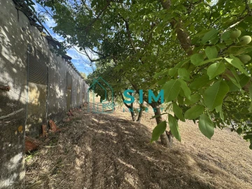 Quinta para Venda em Azoia de Cima e Tremês