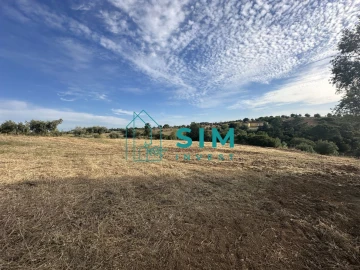 Quinta para Venda em Azoia de Cima e Tremês