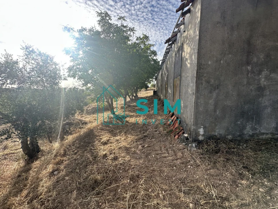 Quinta para Venda em Azoia de Cima e Tremês Foto 59