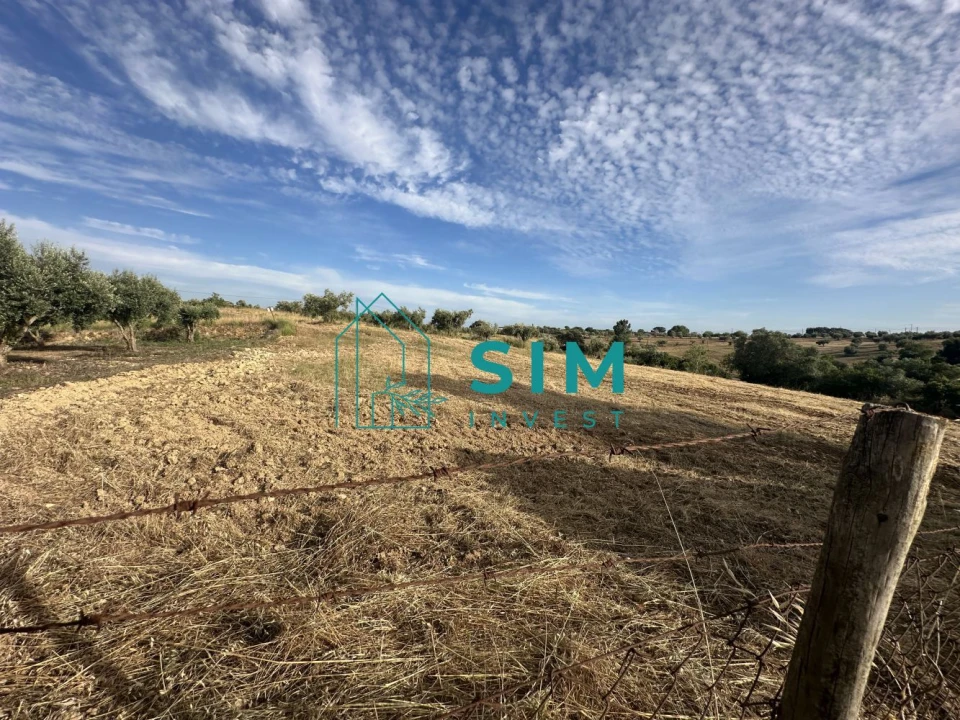 Quinta para Venda em Azoia de Cima e Tremês Foto 48