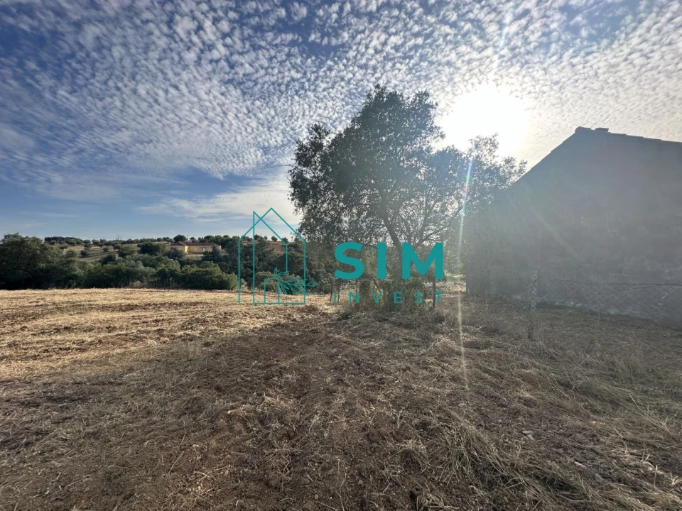 Quinta para Venda em Azoia de Cima e Tremês Foto 25