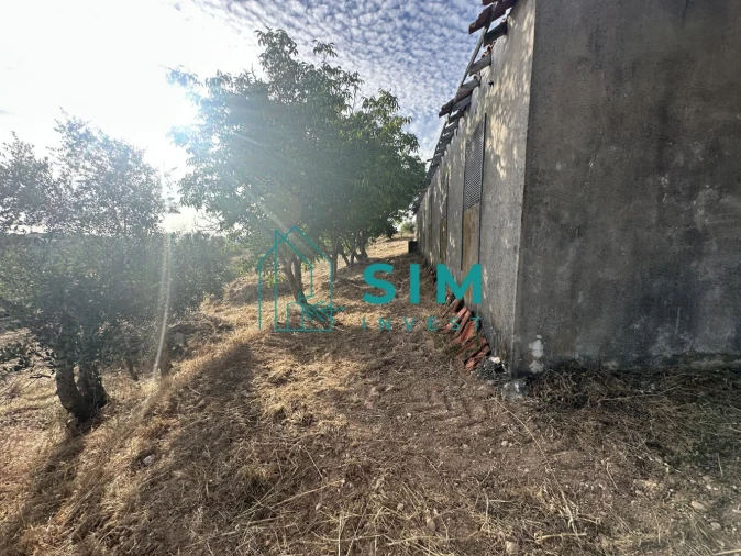 Quinta para Venda em Azoia de Cima e Tremês Foto 59