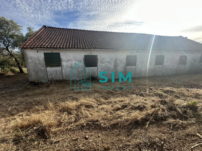 Quinta para Venda em Azoia de Cima e Tremês Foto 45