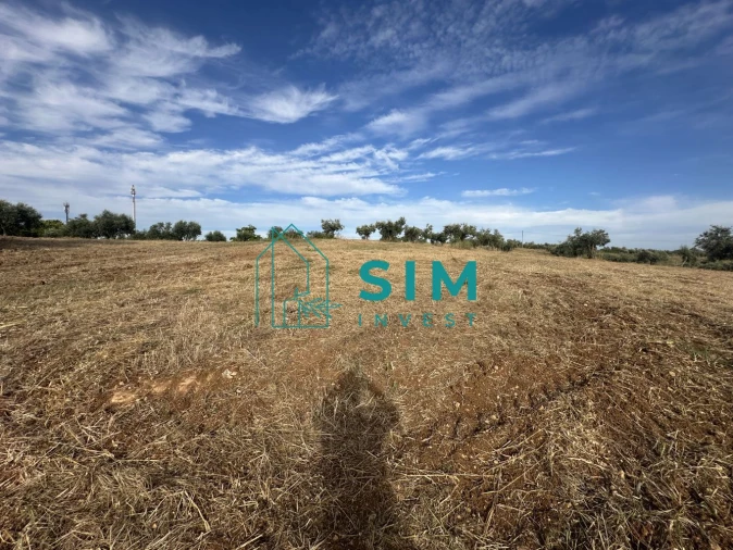 Quinta para Venda em Azoia de Cima e Tremês Foto 32