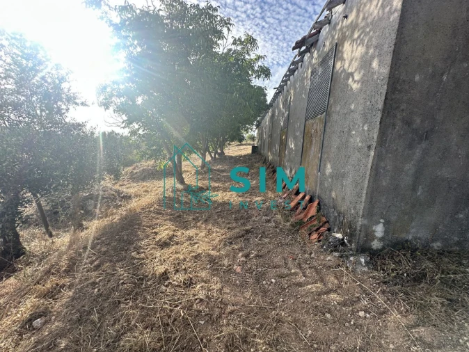 Quinta para Venda em Azoia de Cima e Tremês Foto 51