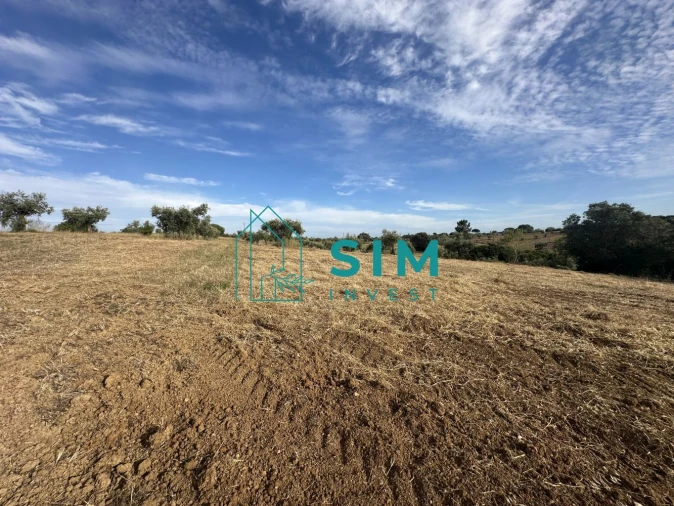 Quinta para Venda em Azoia de Cima e Tremês Foto 27