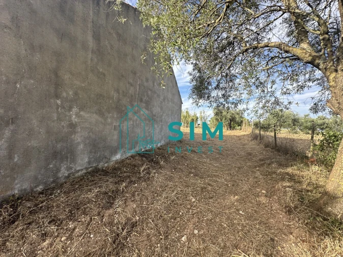 Quinta para Venda em Azoia de Cima e Tremês Foto 50