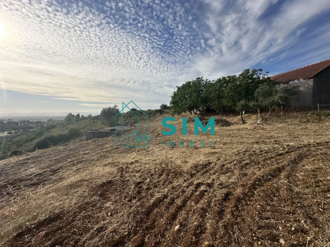 Quinta para Venda em Azoia de Cima e Tremês Foto 30