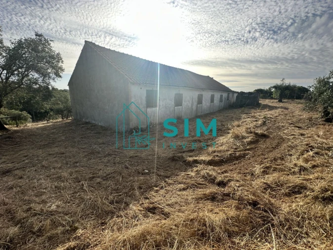 Quinta para Venda em Azoia de Cima e Tremês Foto 46