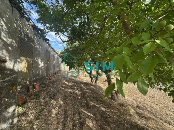 Quinta para Venda em Azoia de Cima e Tremês Foto 57