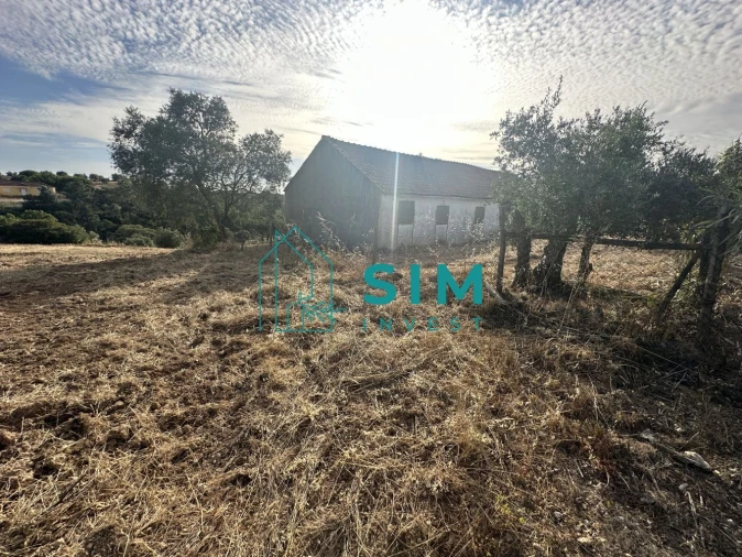 Quinta para Venda em Azoia de Cima e Tremês Foto 22