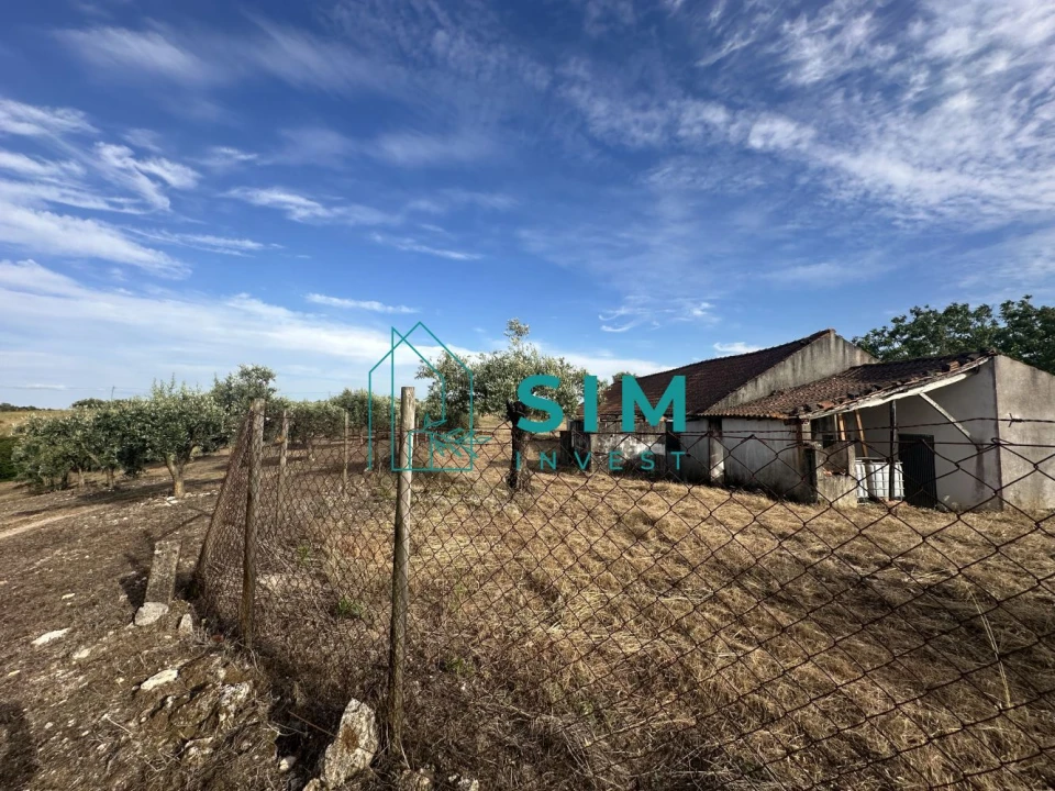 Quinta para Venda em Azoia de Cima e Tremês Foto 18