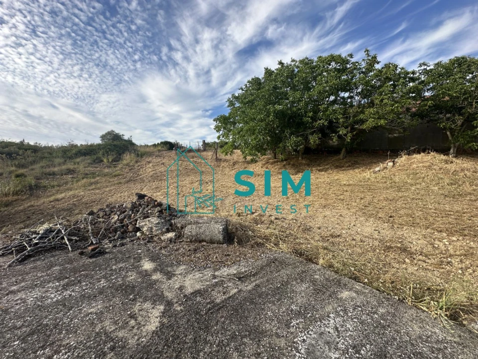 Quinta para Venda em Azoia de Cima e Tremês Foto 36