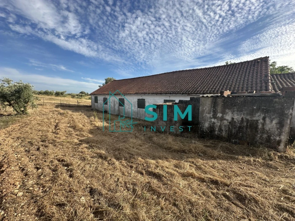 Quinta para Venda em Azoia de Cima e Tremês Foto 43