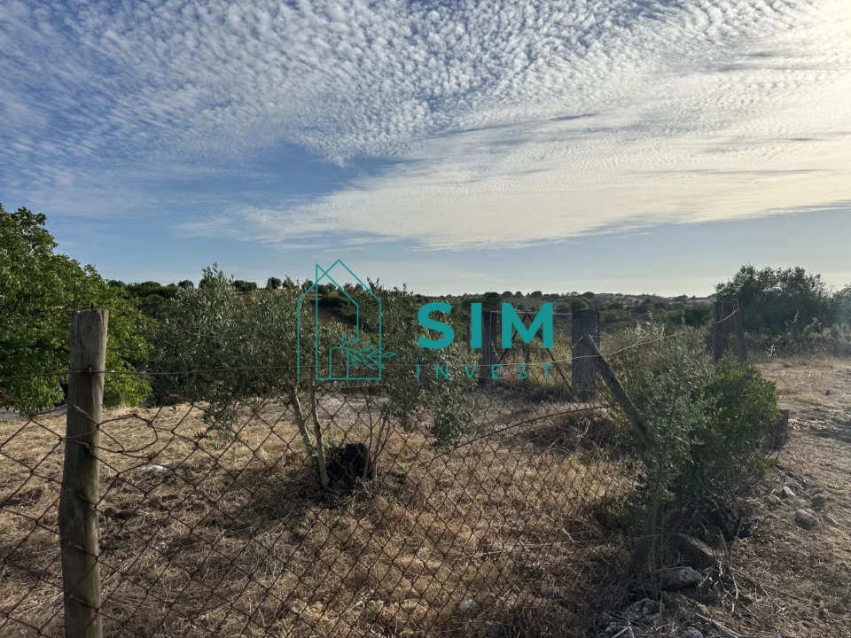 Quinta para Venda em Azoia de Cima e Tremês Foto 19