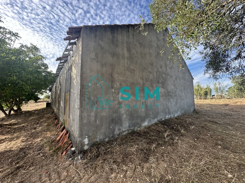 Quinta para Venda em Azoia de Cima e Tremês Foto 49