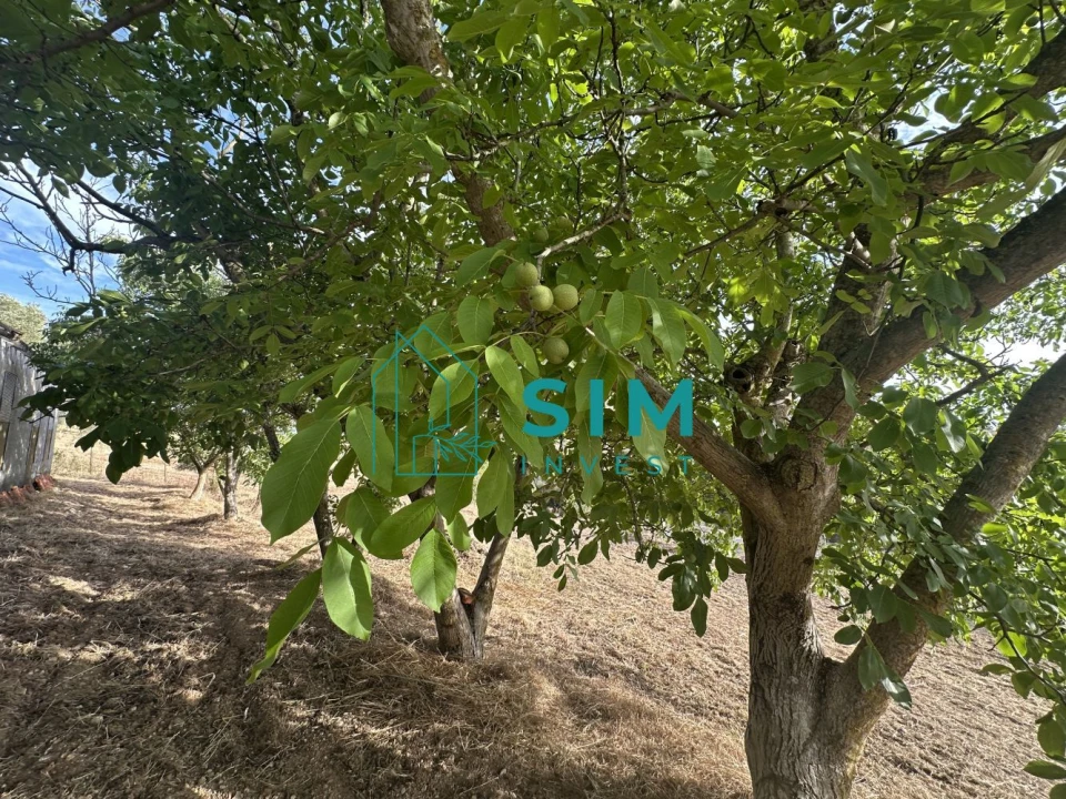 Quinta para Venda em Azoia de Cima e Tremês Foto 56