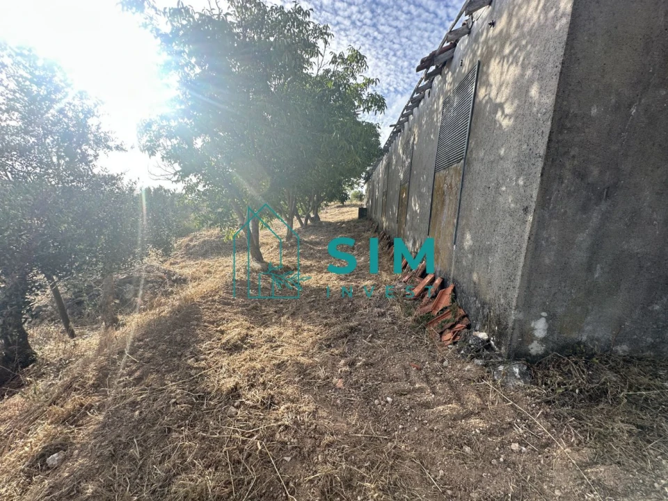Quinta para Venda em Azoia de Cima e Tremês Foto 51