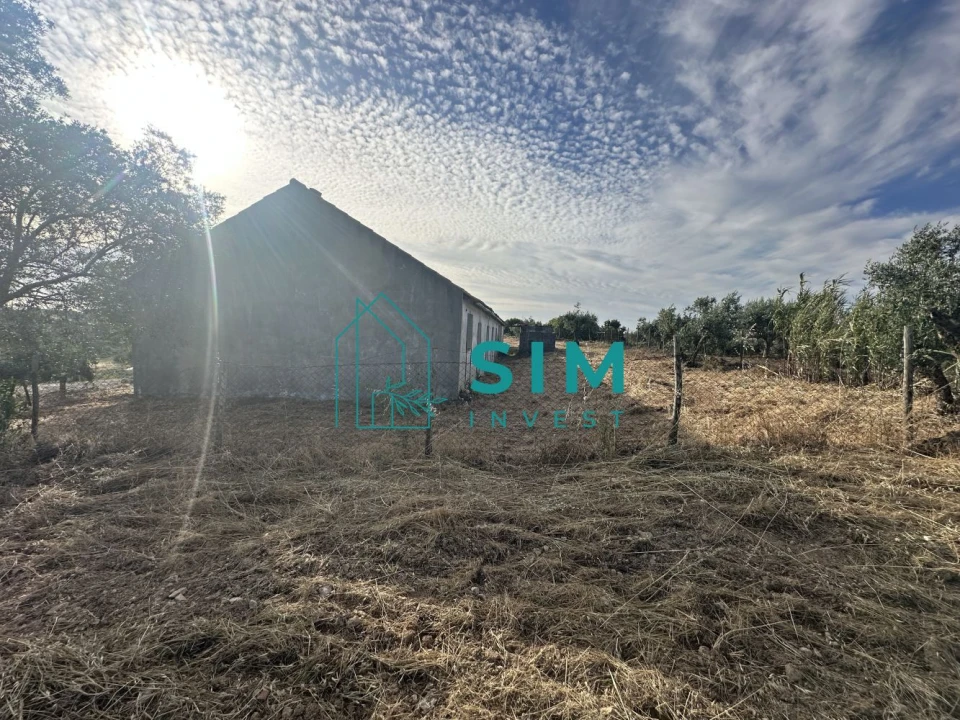 Quinta para Venda em Azoia de Cima e Tremês Foto 23