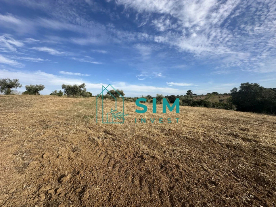 Quinta para Venda em Azoia de Cima e Tremês Foto 27