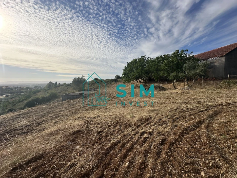 Quinta para Venda em Azoia de Cima e Tremês Foto 30