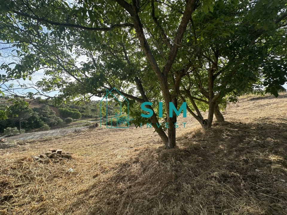 Quinta para Venda em Azoia de Cima e Tremês Foto 53
