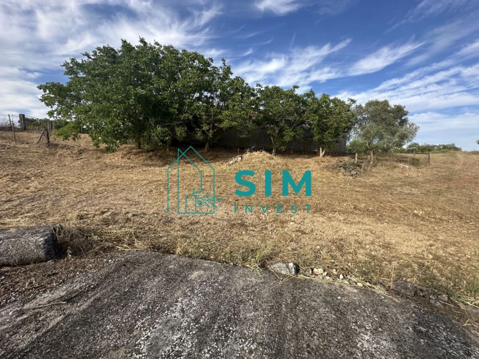 Quinta para Venda em Azoia de Cima e Tremês Foto 37