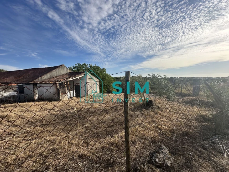 Quinta para Venda em Azoia de Cima e Tremês Foto 16