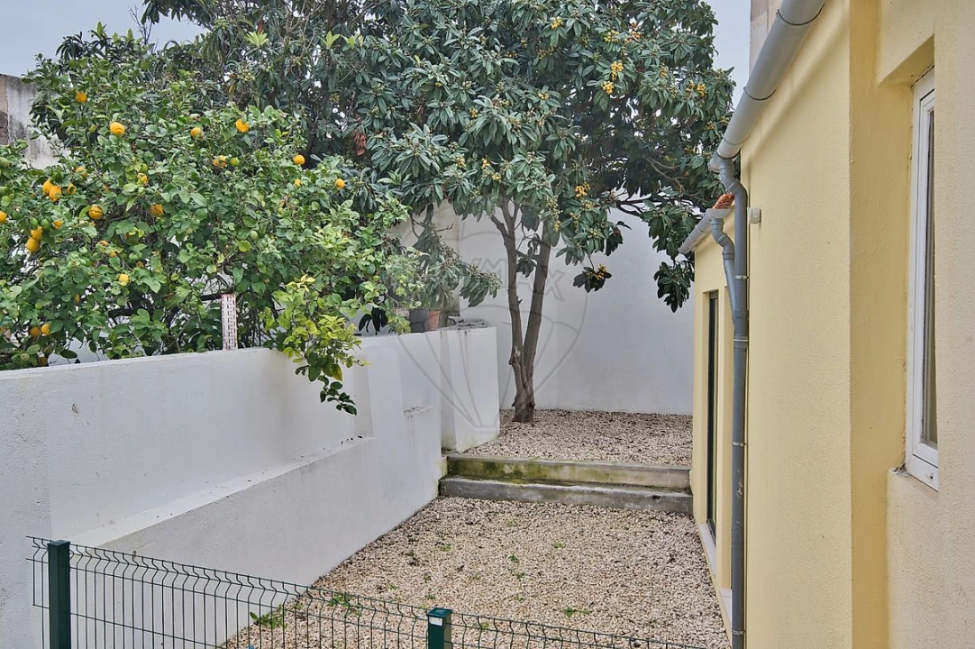 Apartamento T3 para Arrendamento em São Vicente Foto 34