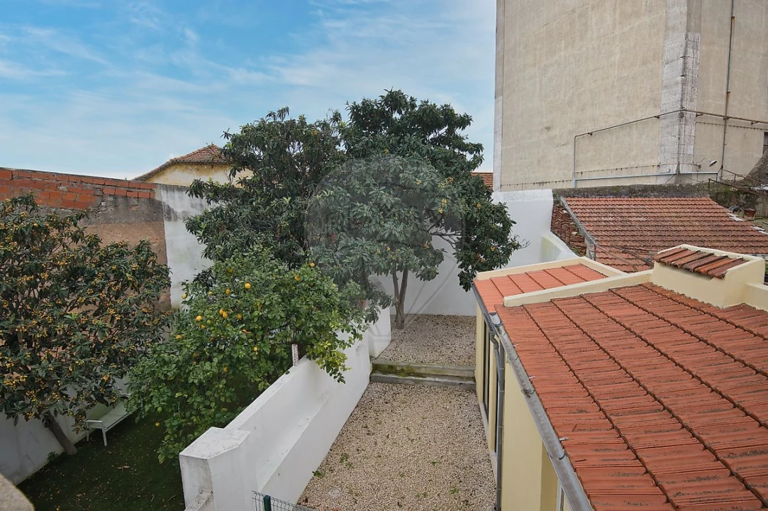 Apartamento T3 para Arrendamento em São Vicente Foto 32