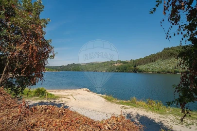 Terreno para Venda em Boelhe