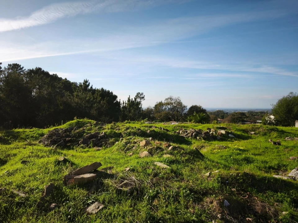 Terreno para Venda em O. Azeméis, Riba-Ul, Ul, Macinhata Seixa, Madail Foto 1
